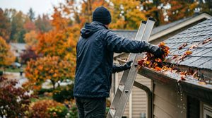 gutter cleaning